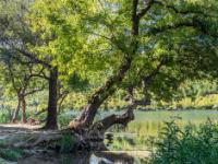 Idylle beim Freizeitgelände am Visovac See - Krka NP